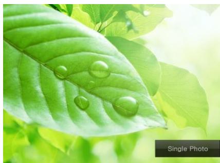 TELEFUNKEN DPF 10934 - Foto - 2