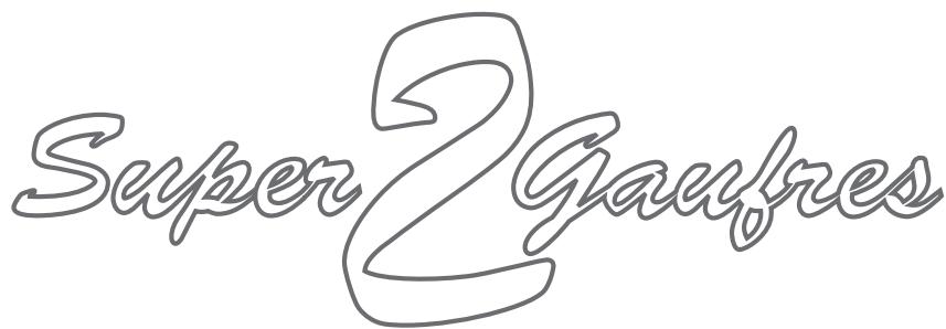 LAGRANGE SUPER 2 GAUFRES 039111 - 1