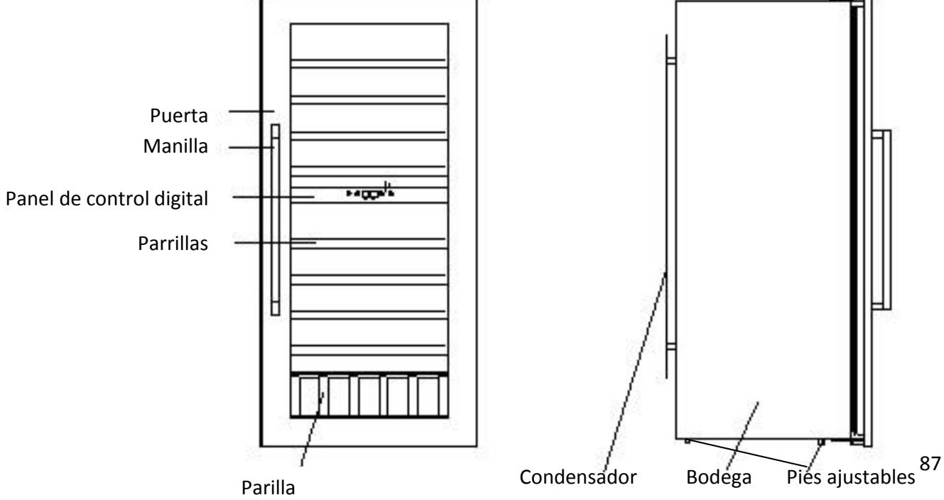 AVINTAGE AV45XDZI - Reglamento de seguidad - 9