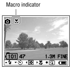 Macro indicator 101 47 1.3M FINE