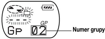 SONY MZ-E310 - Gdy nie istmieje nazwa grupy - 1