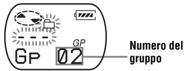SONY MZ-E310 - Quando non è presente un nome di gruppo - 1