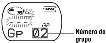 SONY MZ-E310 - Quando não existe um nome de grupo - 1