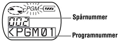 SONY MZ-E310 - VORSICH - 1