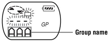 SONY MZ-E310 - When there is a group name (Example: AAA) - 1