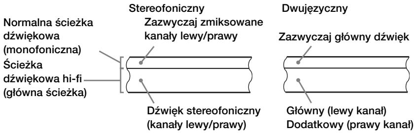 SONY SLV-D970PN - Jak przyk jest nagrywany na taśmie video - 1