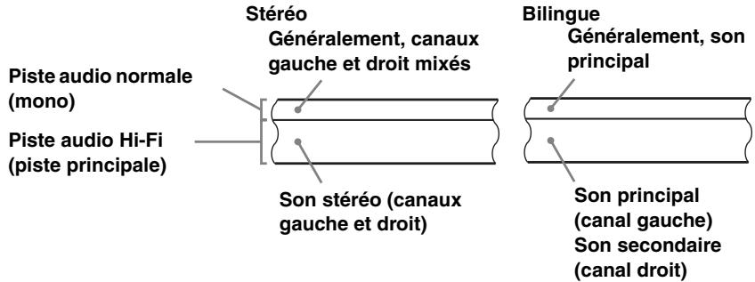 Piste audio normale (mono) Piste audio Hi-Fi (piste principale) Stéréo Généralement, canaux gauche et droit mixés Son stéréo (canaux gauche et droit) Bilingue Généralement, son principal Son principal (canal gauche) Son secondaire (canal droit)