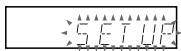 SONY SLV-SE710I - Using the Auto Set Up function - 2