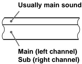 SONY SLV-SE710I - How sound is recorded on a video tape - 2