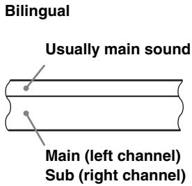SONY SLV-SE830N - How sound is recorded on a video tape - 2