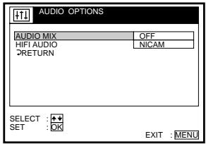 SONY SLV-SF950N - AUDIO OPTIONS menu - 1