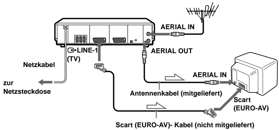 SONY SLV-SF990D - Anschließen an Ihr Fernsehgerät mit einem Scart (EURO-AV)- Kabel - 1
