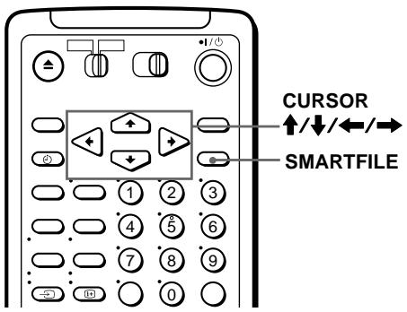 SONY SLV-SF990D - Sichern einer Aufnahme gegen unbeabsichtigtes Überspielen - 1