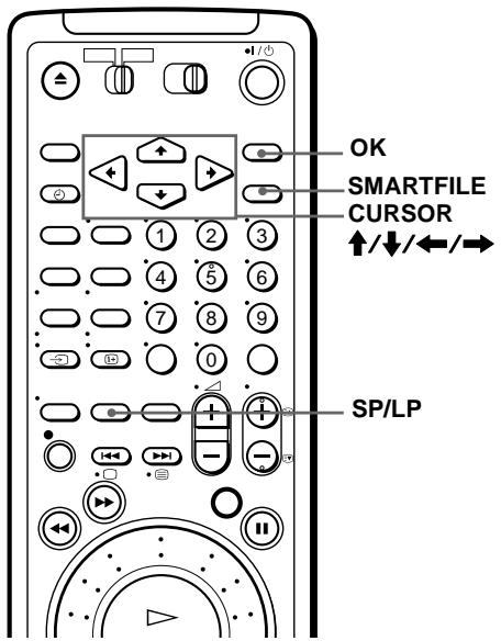 SONY SLV-SF990E - Aufnahme nach Suehe eines leeren Bandbereichs - 1