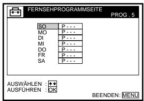 SONY SLV-SF990E - Vorbereitungen... - 3
