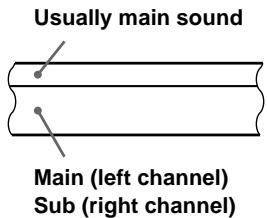 SONY SLV-SF990G - How sound is recorded on a video tape - 2