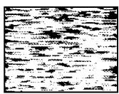 SONY SLV-SP70R - Symptoms caused by contaminated video heads - 4