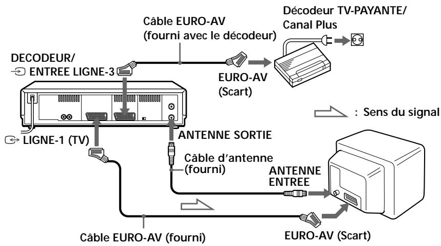 SONY SLV-SX80VC - Réglage du décodeur TV payante / Canal Plus - 1