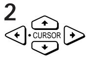 SONY SLV-X817ME - Selecting a language - 2