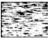 SONY SLV-X817ME - Symptoms caused by contaminated video heads - 4