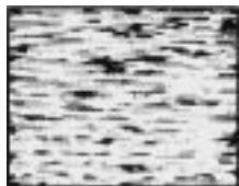 SONY SLV-X842ML - Symptoms caused by contaminated video heads - 4