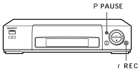 SONY SLV-X842ML - Tips - 1