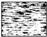 SONY SLV-X9G - Symptoms caused by contaminated video heads - 4