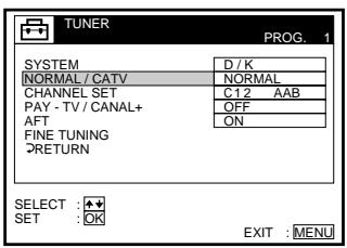 SONY SLV-X9N - Before you start... - 9