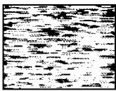 SONY SLV-X9N - Symptoms caused by contaminated video heads - 4
