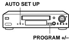 SONY SLV-X9N - Using the Auto Set Up function - 1