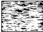 SONY SLV-XF247PS - Symptoms caused by contaminated video heads - 4