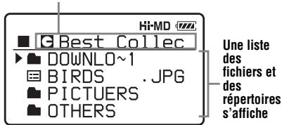Hi-MD ■ G Best Collec ► DOWNLO~1 ■ BIRDS .JPG ■ PICTUERS ■ OTHERS Une liste des fichiers et des répertoires s'affiche