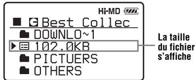 Hi-MD ■ Best Collec DOWNLO~1 102.0KB ■ PICTUERS ■ OTHERS La taille du fichier s'affiche