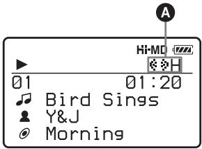 01 Bird Sings Y&J Morning Hi-MD A