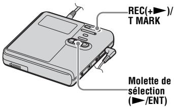 REC(+)/T MARK Molette de sélection (►/ENT)