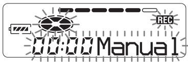 REC 00:00 Manual 1