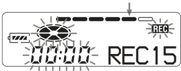 REC 00:00 REC15