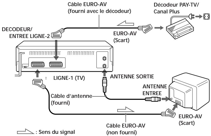 SONY SLV-E230VP - Installation d'un décodeur PAY-TV/Canal Plus - 1