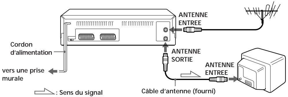 Cordon d'alimentation vers une prise murale ANTENNE ENTREE ANTENNE SORTIE ANTENNE ENTREE Câble d'antenne (fourni) : Sens du signal