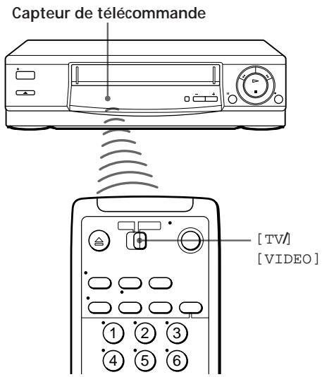 Capteur de télécommande [TV] [VIDEO]
