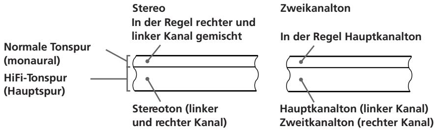 Stereo In der Regel rechter und linker Kanal gemischt Normale Tonspur (monaural) HiFi-Tonspur (Hauptspur) Stereoton (linker und rechter Kanal) Zweikanalton In der Regel Hauptkanalton Hauptkanalton (linker Kanal) Zweitkanalton (rechter Kanal)