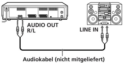 AUDIO OUT R/L LINE IN Audiokabel (nicht mitgeliefert)