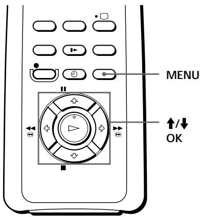 SONY SLV-SE60NP - Auswahlen einer Sprache - 1