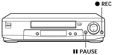 SONY SLV-SE60NP - Vor dem Überspielen - 1