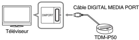SONY TDM-IP50 - : Mise en place du TDM-iP50 - 2
