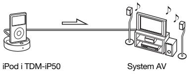 SONY TDM-IP50 - Opis ogólny - 1