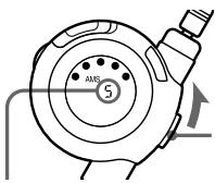 AMS 5