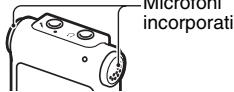 Microforni incorporati