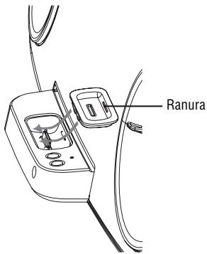 Ranura
