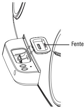 Fente